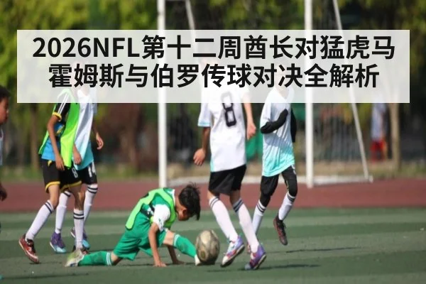 2026NFL第十二周酋长对猛虎马霍姆斯与伯罗传球对决全解析