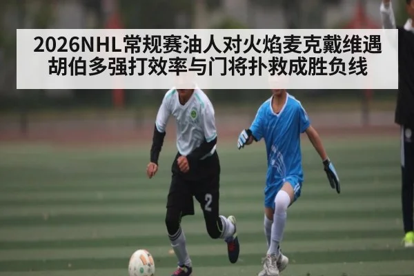 2026NHL常规赛油人对火焰麦克戴维遇胡伯多强打效率与门将扑救成胜负线 - Gaming
